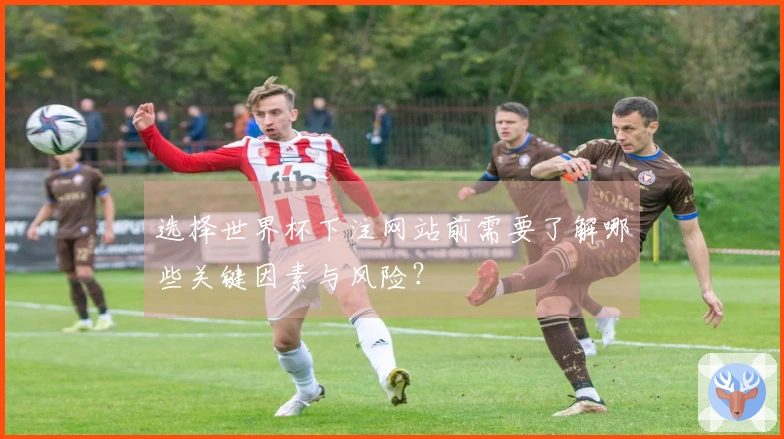 选择世界杯下注网站前需要了解哪些关键因素与风险？