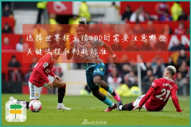 选择世界杯竞猜app时需要注意哪些关键流程和判断标准