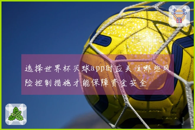 选择世界杯买球app时应关注哪些风险控制措施才能保障资金安全