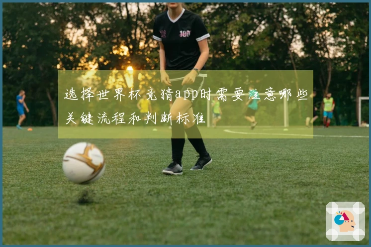 选择世界杯竞猜app时需要注意哪些关键流程和判断标准